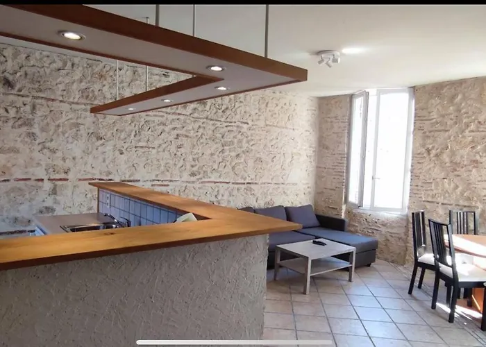 Appartement Duplex Spacieux En Hypercentre Avec Garage Prive