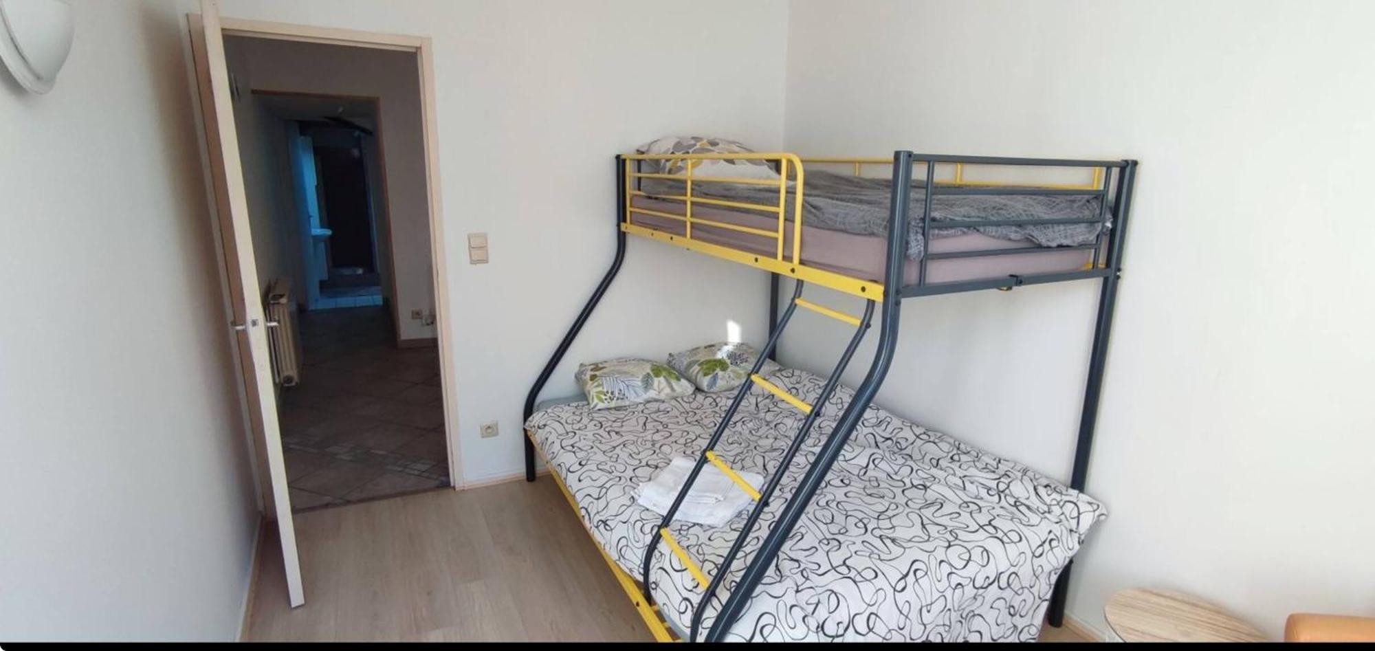 Appartement Duplex Spacieux En Hypercentre Avec Garage Prive